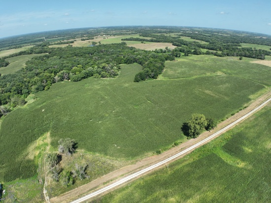 Tract 9 - 80 taxable acres ±