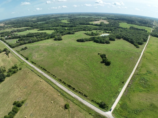 Tract 8 - 77 taxable acres ±