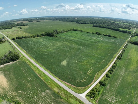 Tract 6 - 43.3 taxable acres ±