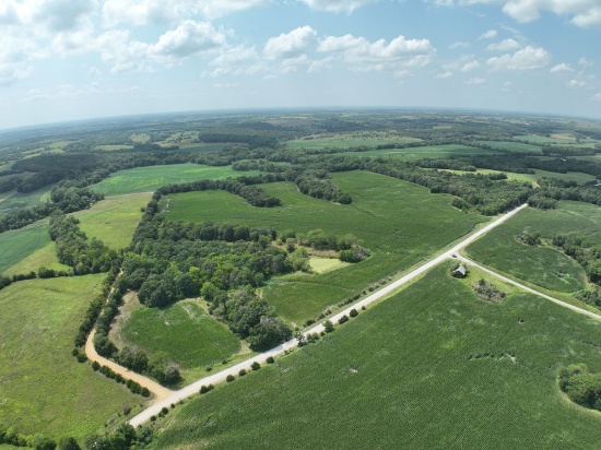 Tract 12 - 73.8 surveyed acres