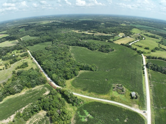 Tract 14 - 95.9 surveyed acres