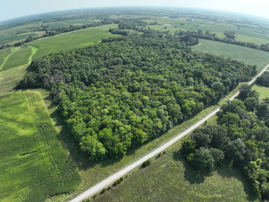Tract 4 - 41.2 surveyed acres