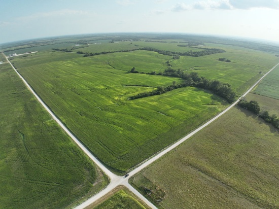Tract 2 - 155.9 taxable acres ±