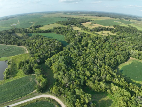 Tract 5 - 75 taxable acres ±