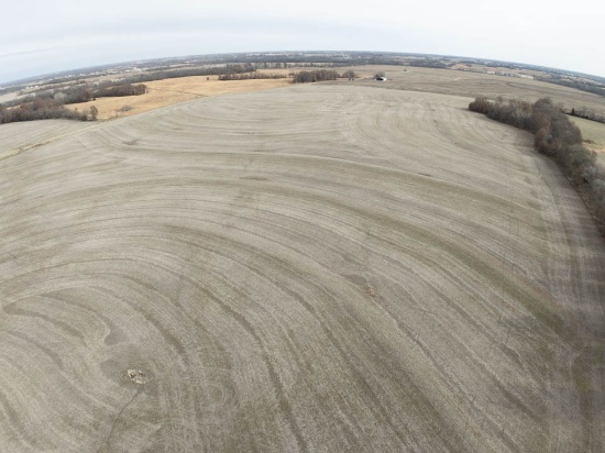 Tract 5 - 83 taxable acres ±