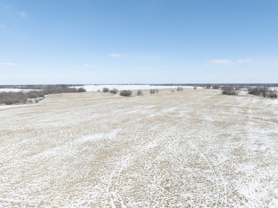 Tract 5 - 162 surveyed acres