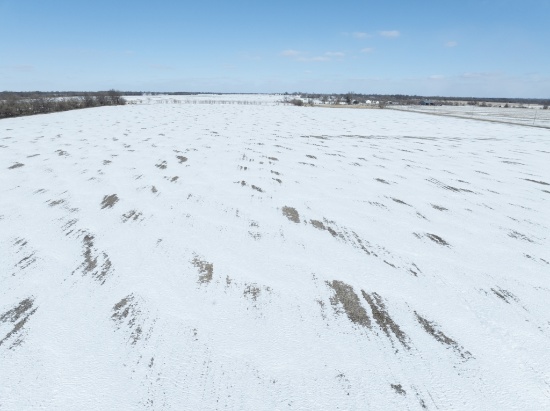 Tract 6 - 38.8 surveyed acres