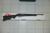 Ruger 10/22 FS (1261)