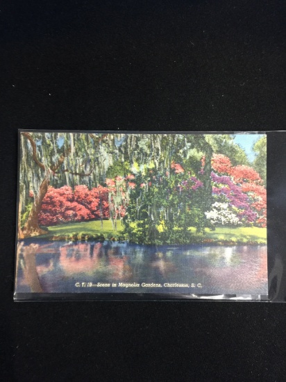 Vintage Unused Postcard - 1930's-20's Scene in Magnolia Gardens, Charleston, S.C.