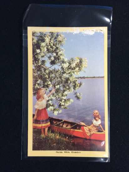 Vintage Unused Postcard - 1930's-20's Florida White Oleanders