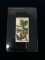 1922 Wills Cigarettes Do You Know Series 1 - The Oak Apple - Tobacco Card
