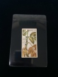 1922 Wills Cigarettes Do You Know Series 1 - A Falling Leaf - Tobacco Card