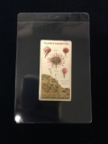 1923 Player's Cigarettes Struggle For Existence - A Plant Rogue In Bogland - Tobacco Card