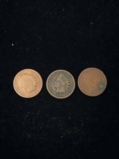3 Count Lot of United States Indian Head Pennies - Various Dates