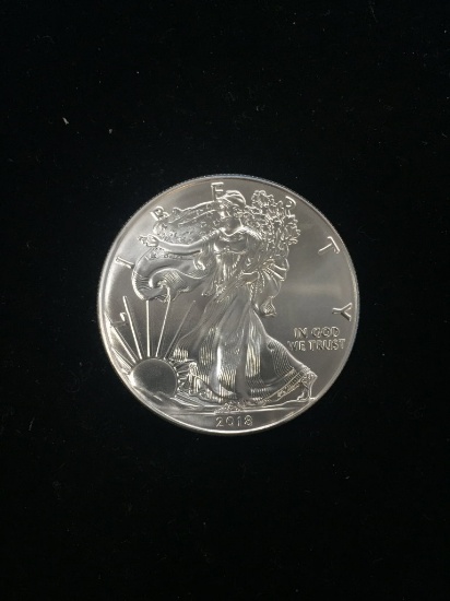 NICE 2018 American Silver Eagle 1 Ounce .999 Fine Silver Bullion Coin