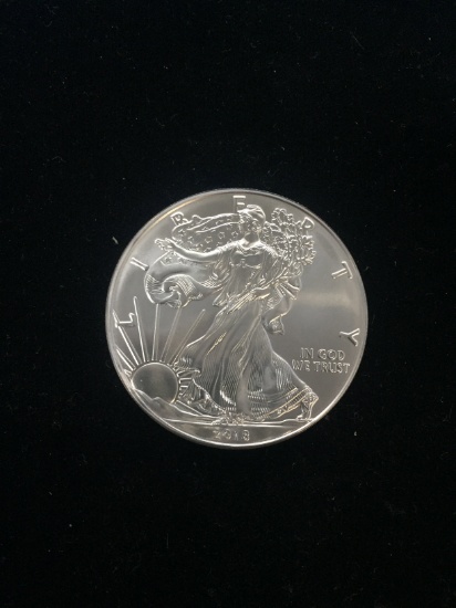 NICE 2018 American Silver Eagle 1 Ounce .999 Fine Silver Bullion Coin