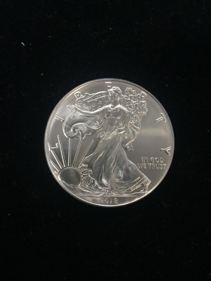 NICE 2018 American Silver Eagle 1 Ounce .999 Fine Silver Bullion Coin