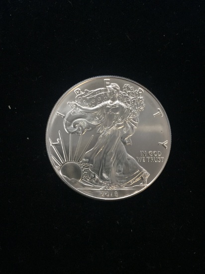 NICE 2018 American Silver Eagle 1 Ounce .999 Fine Silver Bullion Coin