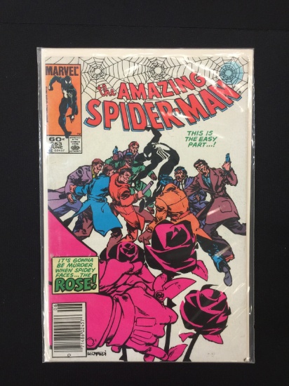 The Amazing Spider-man #253 - Marvel Comic Book