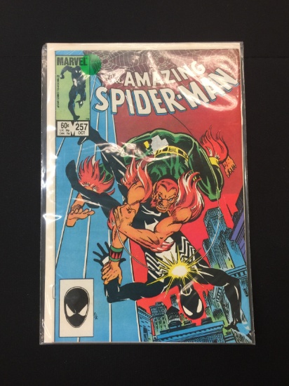 The Amazing Spider-man #257 - Marvel Comic Book