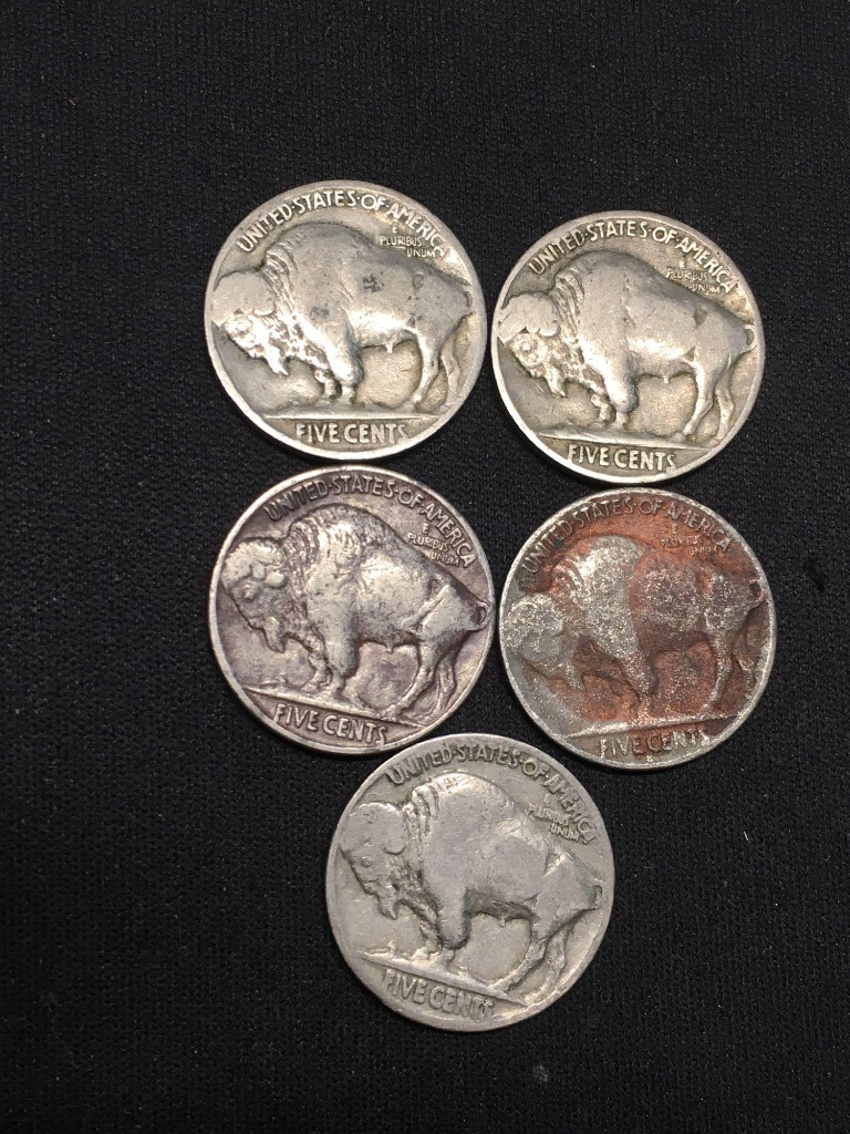 Lot Of 5 Partial Or No Date Indian Head Buffalo Nickels Auctions Online Proxibid,Miniature Roses Catalog