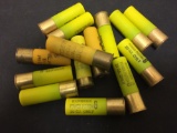 Lot of Shotgun Shell Cartridges