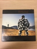 Pink Floyd Delicate Sounds of Thunder Vinyl Record
