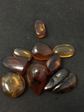 Lot of Various Size & Shaped Insect Included Loose Amber Gemstones - 16 Grams