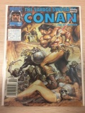 The Savage Sword of Conan #193-Marvel Comic Book