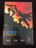 DC Comics, Batman: The Dark Knight Falls-Graphic Novel