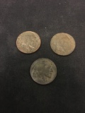 Lot of 3 United States Buffalo Nickels