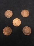 Lot of 5 United States Indian Head Pennies