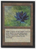 1993 Mtg Magic The Gathering Collector's Edition Black Lotus EX-NM Card