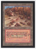 1993 Mtg Magic The Gathering Collector's Edition Plateau NM