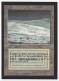 1993 Mtg Magic The Gathering Collector's Edition Tundra NM Card