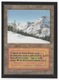 1993 Mtg Magic The Gathering Collector's Edition Taiga NM Card