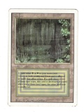 MTG Magic the Gathering BAYOU Revised Dual Land Card