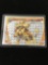 Pokemon Pyroar Break Holofoil Rare Card 24/114