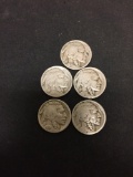 Lot of 5 US Buffalo Indian Head Nickels From Collection