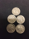 Lot of 5 US Buffalo Indian Head Nickels From Collection