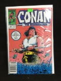 Conan the Barbarian #206 Comic Book from Amazing Collection