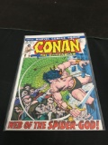 Conan The Barbarian #13 Comic Book from Amazing Collection