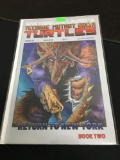 Teenage Mutant Ninja Turtles #20 Comic Book from Amazing Collection B