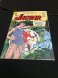 Adventures of The Jaguar #5 Comic Book from Amazing Collection