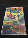 Fly Man #39 Comic Book from Amazing Collection
