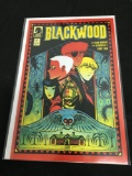 Blackwood #2 Comic Book from Amazing Collection