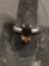 BBJ Designer Marquise Faceted 16x8mm Smokey Topaz Center 3.5mm Wide Shank High Polished Sterling