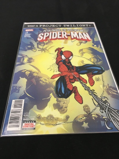 The Spectacular Spider Man #2 Comic Book from Amazing Collection