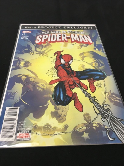 The Spectacular Spider Man #2 Comic Book from Amazing Collection B