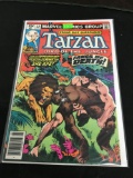 Tarzan Lord of The Jungle #12 Comic Book from Amazing Collection B